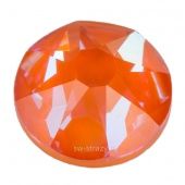 2088 Rose Flatback Crystal Orange Glow Delite 2088 Rose Flatback Crystal Orange Glow Delite